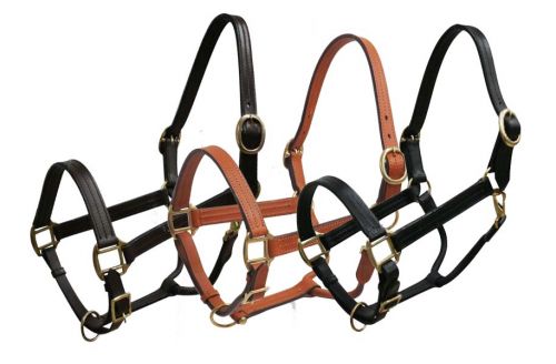 Horse size leather halter with brass hardware