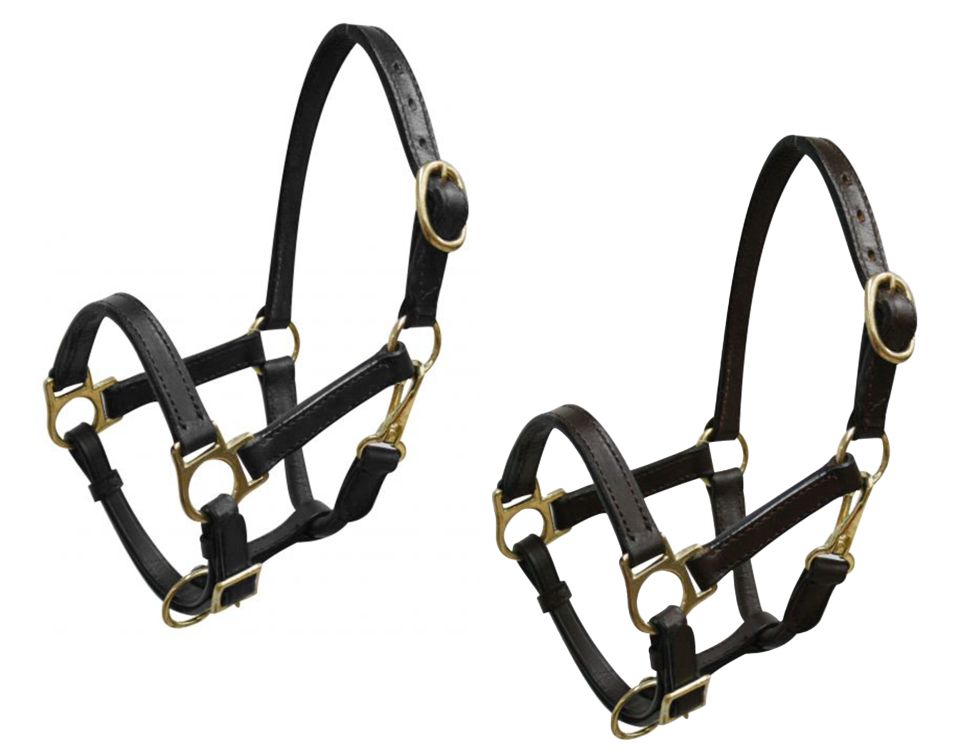 Weanling/Small Pony size leather halter with brass hardware