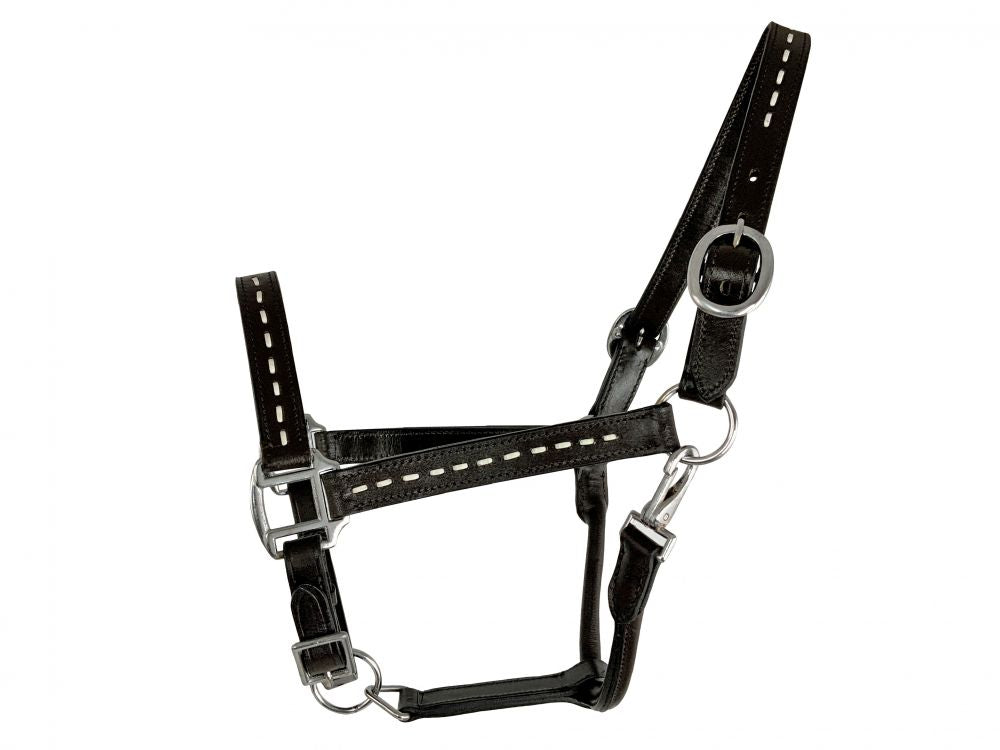 Dark Oil Average Horse size leather halter with white buckstitching accents