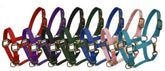 Pony size nylon halter with triple ply nylon with brass hardware