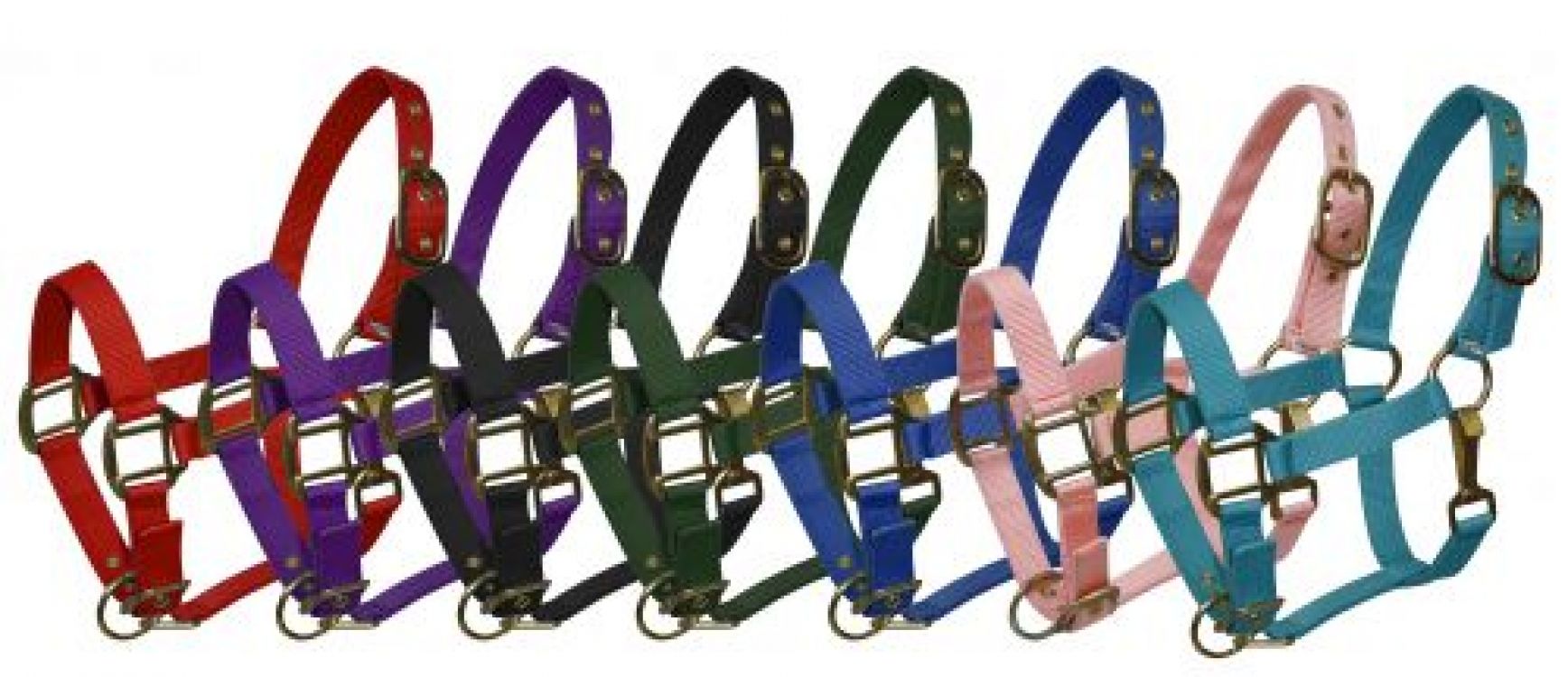 Pony size nylon halter with triple ply nylon with brass hardware