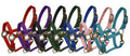 Pony size nylon halter with triple ply nylon with brass hardware