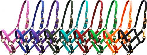 Horse size nylon halter with triple ply nylon with brass hardware