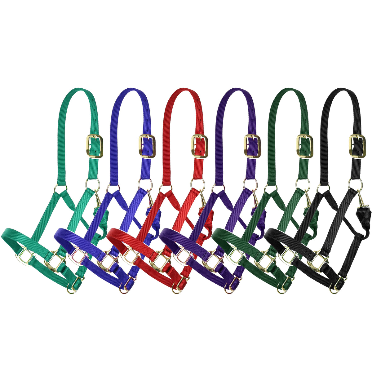 Showman Deluxe Nylon Halter with Throat Clip