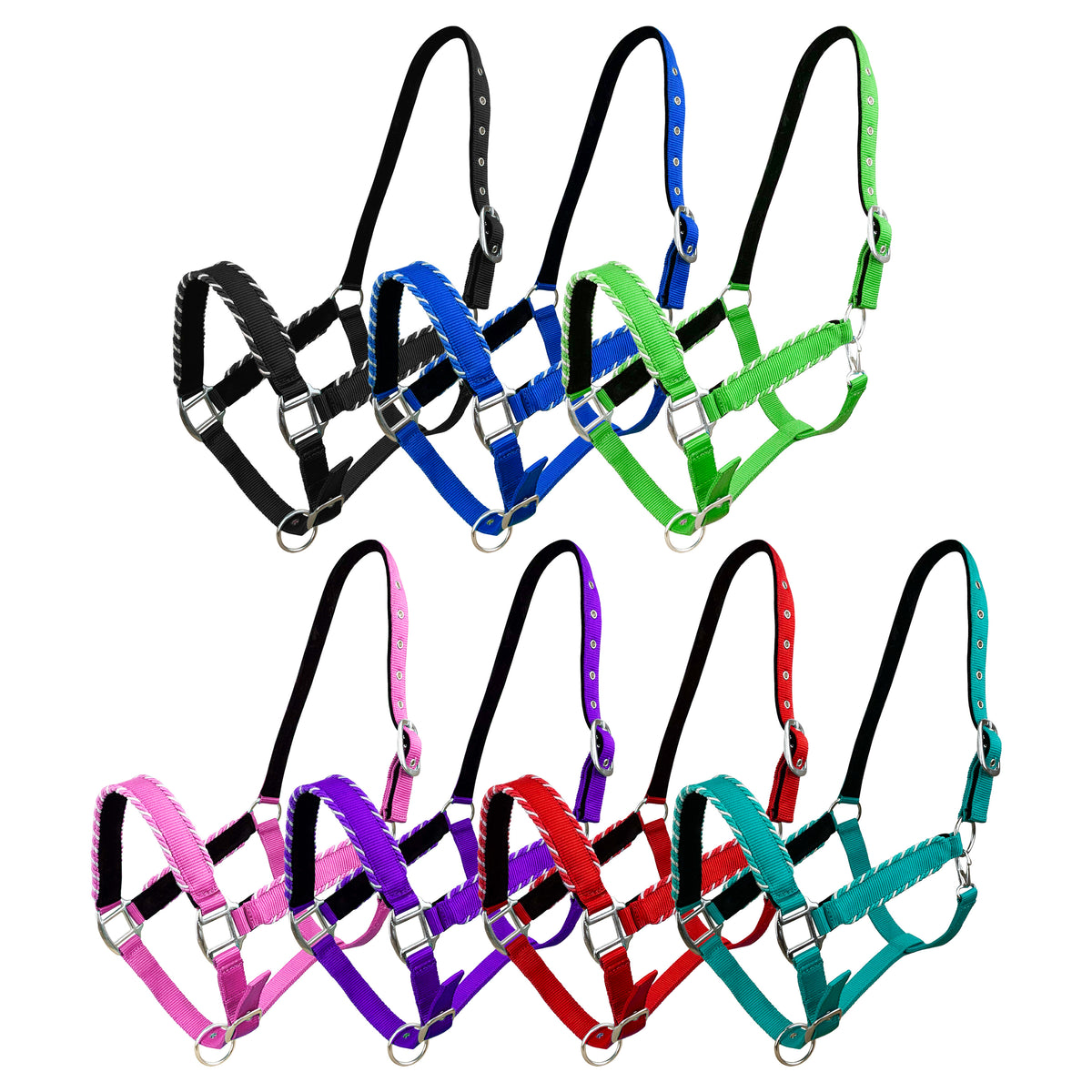 Showman Nylon Neoprene Lined Halter with Rope Border Design