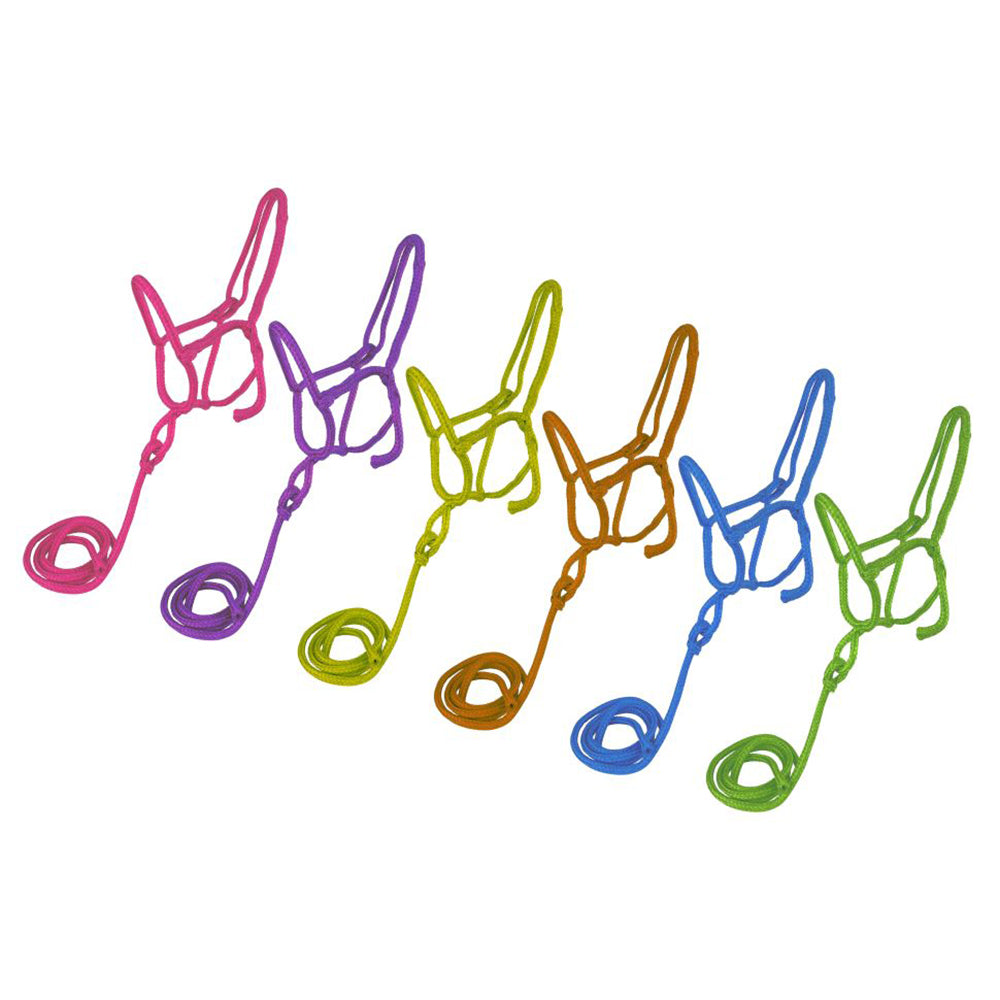 Showman Nylon Rope Shipping Halter with 8' Lead