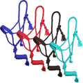 Showman Assorted Mule Tape Halter with Lead