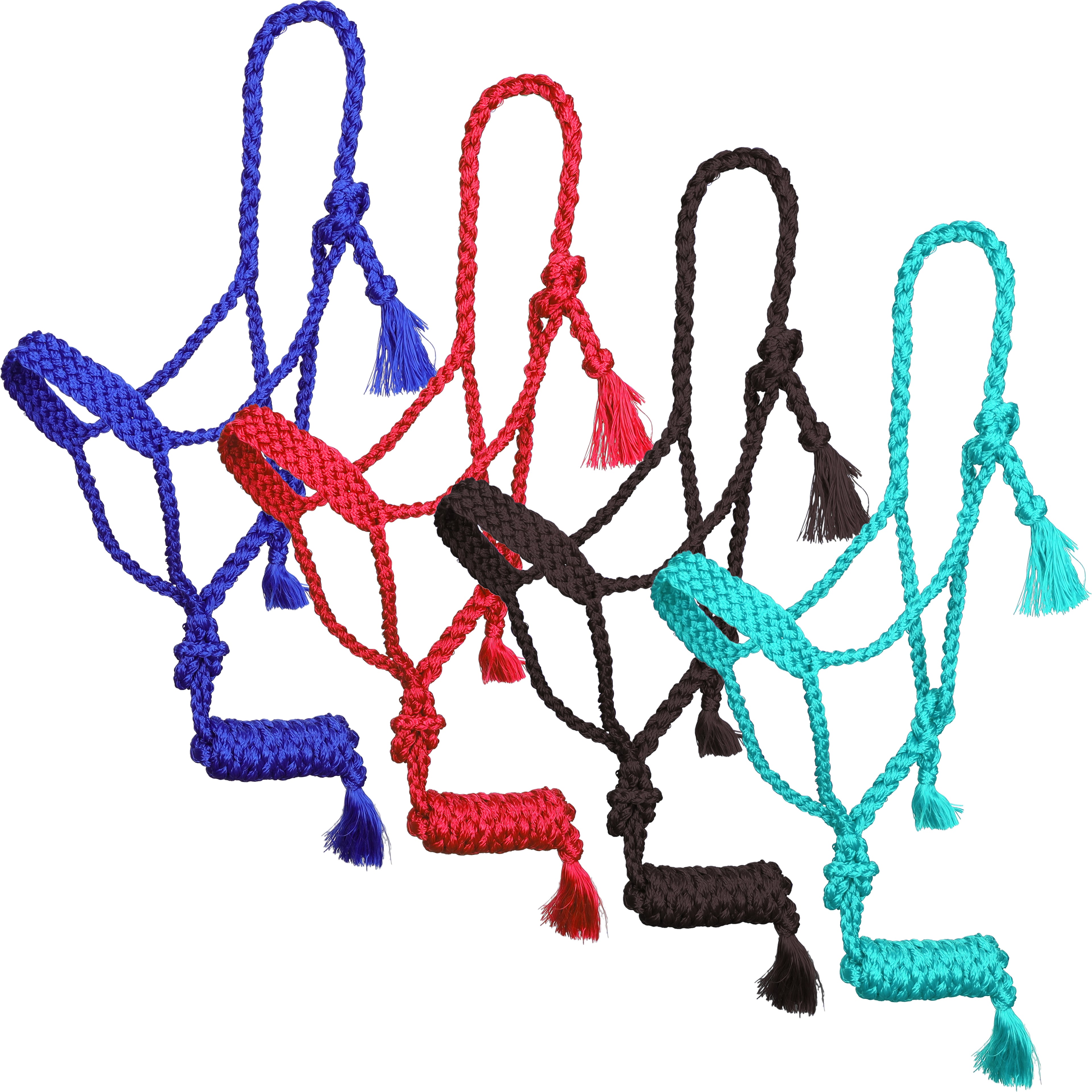 Showman Assorted Mule Tape Halter with Lead