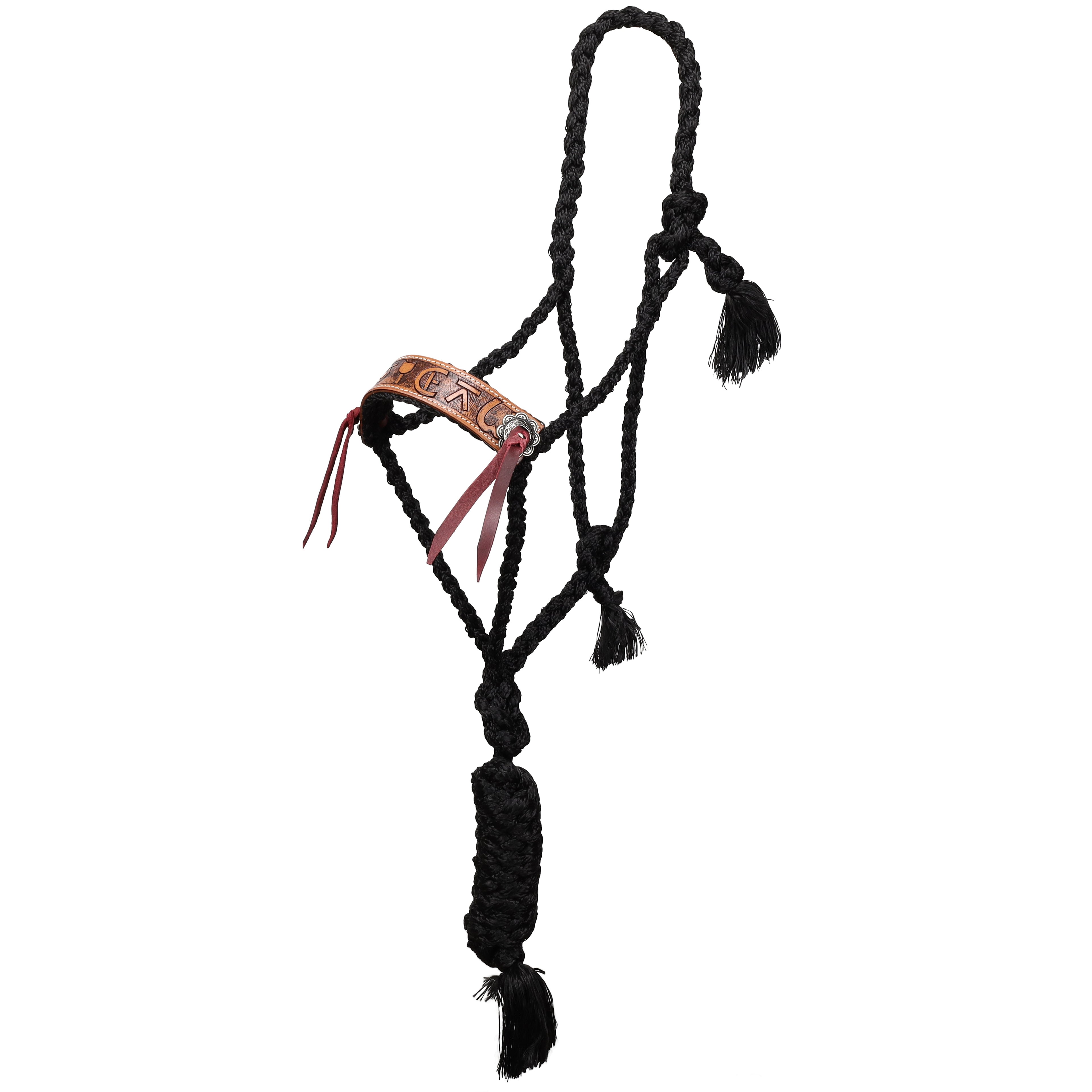 Showman Brandin’ Pen Mule Tape Halter