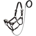Silver Floral Leather Show Halter with Lead - Average