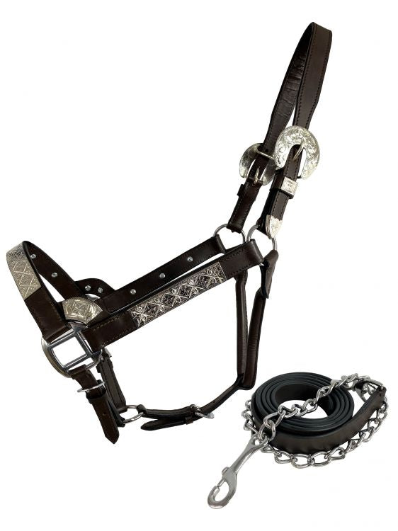 Dark Oil Average Horse size leather double stitched silver bar show halter with matching lead