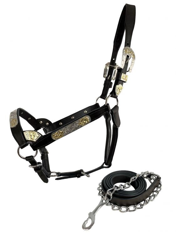 Dark Oil Average Horse size leather double stitched silver bar with gold accents show halter