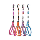 Zig-Zag Dog Harness and Leash Set - Small
