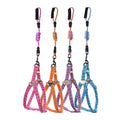 Zig-Zag Dog Harness and Leash Set - Medium