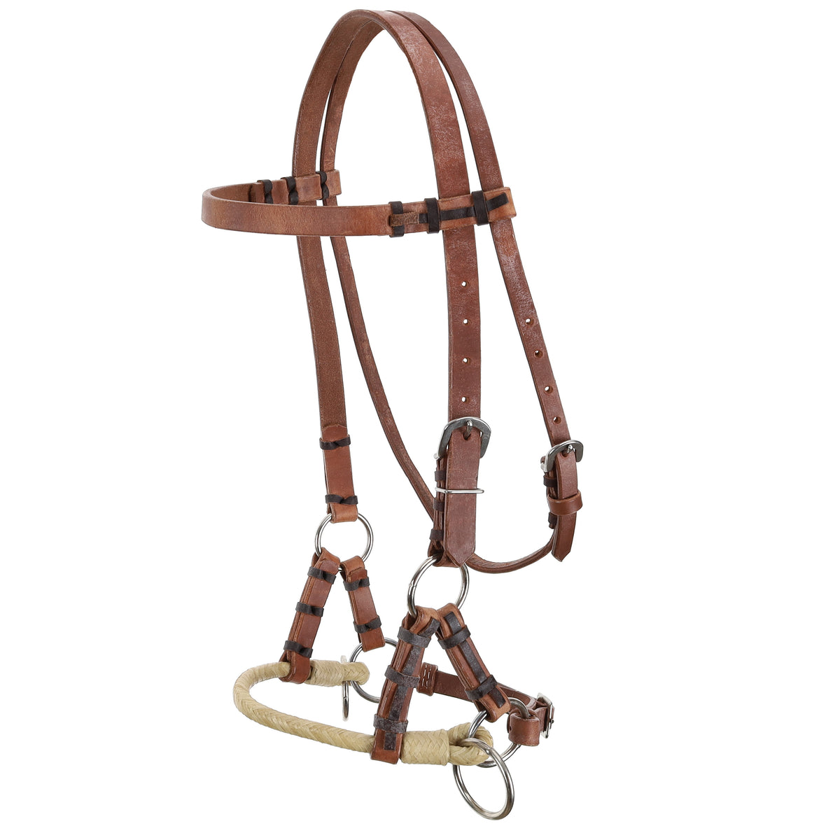 Showman Argentina Cow Leather Side Pull with Rawhide Nose