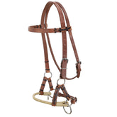 Showman Argentina Cow Leather Side Pull with Rawhide Nose