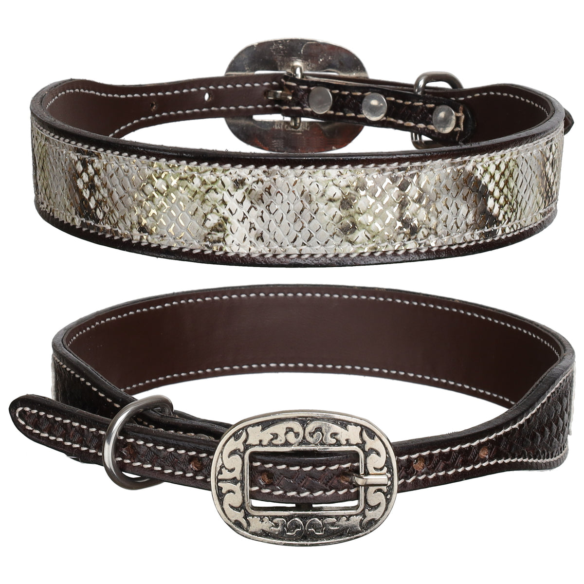 Showman Couture Luxe Viper Leather Dog Collar