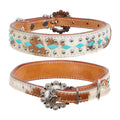 Showman Couture Rawhide Royale Dog Collar