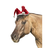 Horse Sized Santa Hat