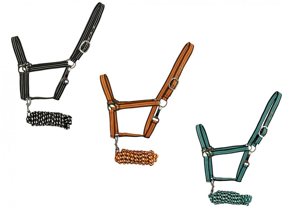 2ply Two Tone Nylon Horse Sized Halter with matching leadAverage horse 800-1100 lbs