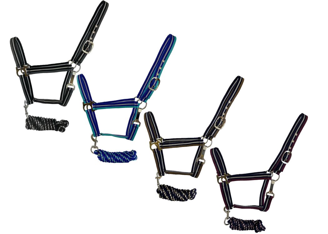 2ply Striped Nylon Horse Sized Halter with metallic accent, 8ft matching pro braid leadAverage horse 800-1100 lbs