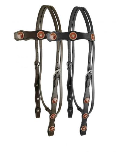 Leather double stitched headstall with steer head conchos