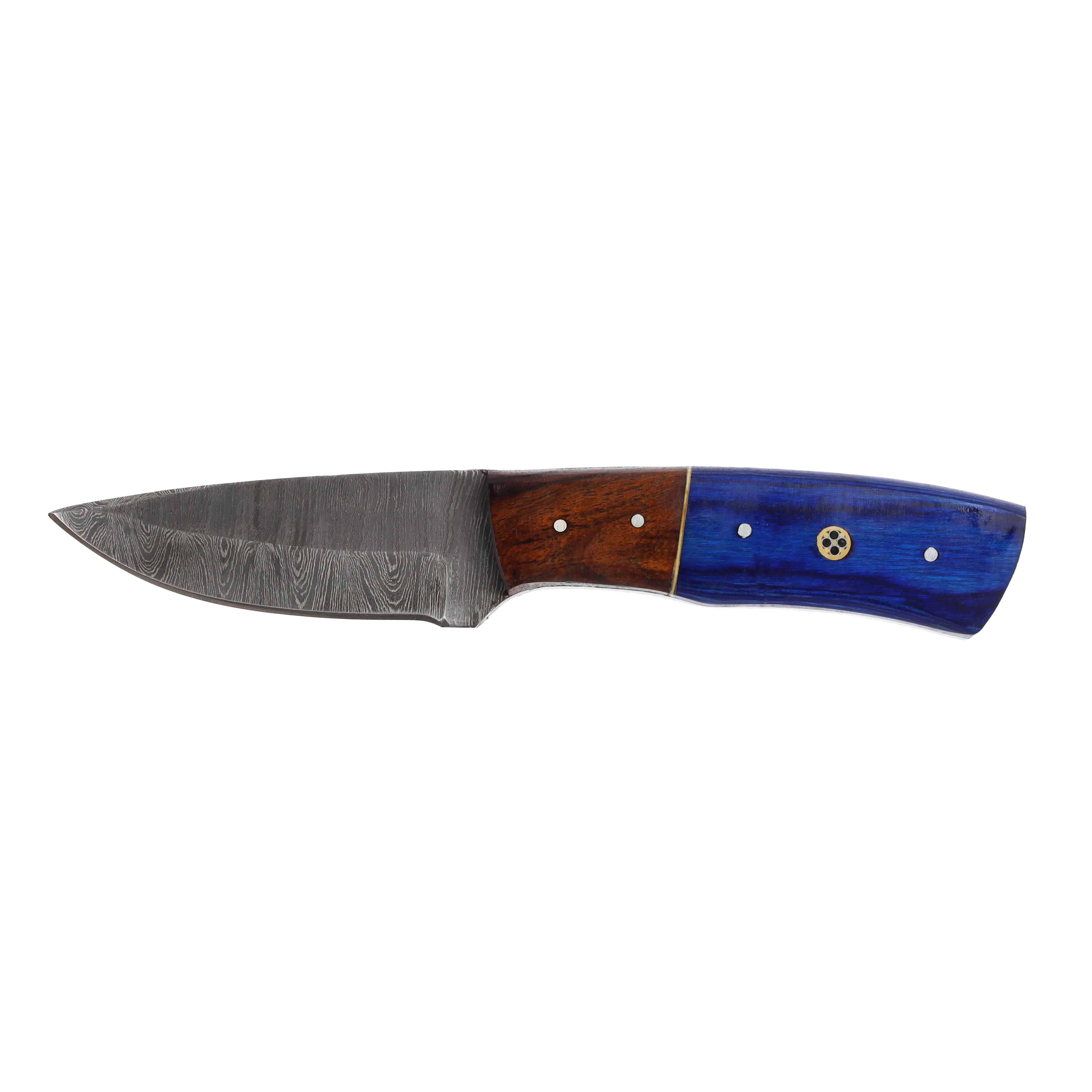 Lariat Timberline - Hand-Forged Damascus Skinning Knife with Blue & Brown Wood Handle