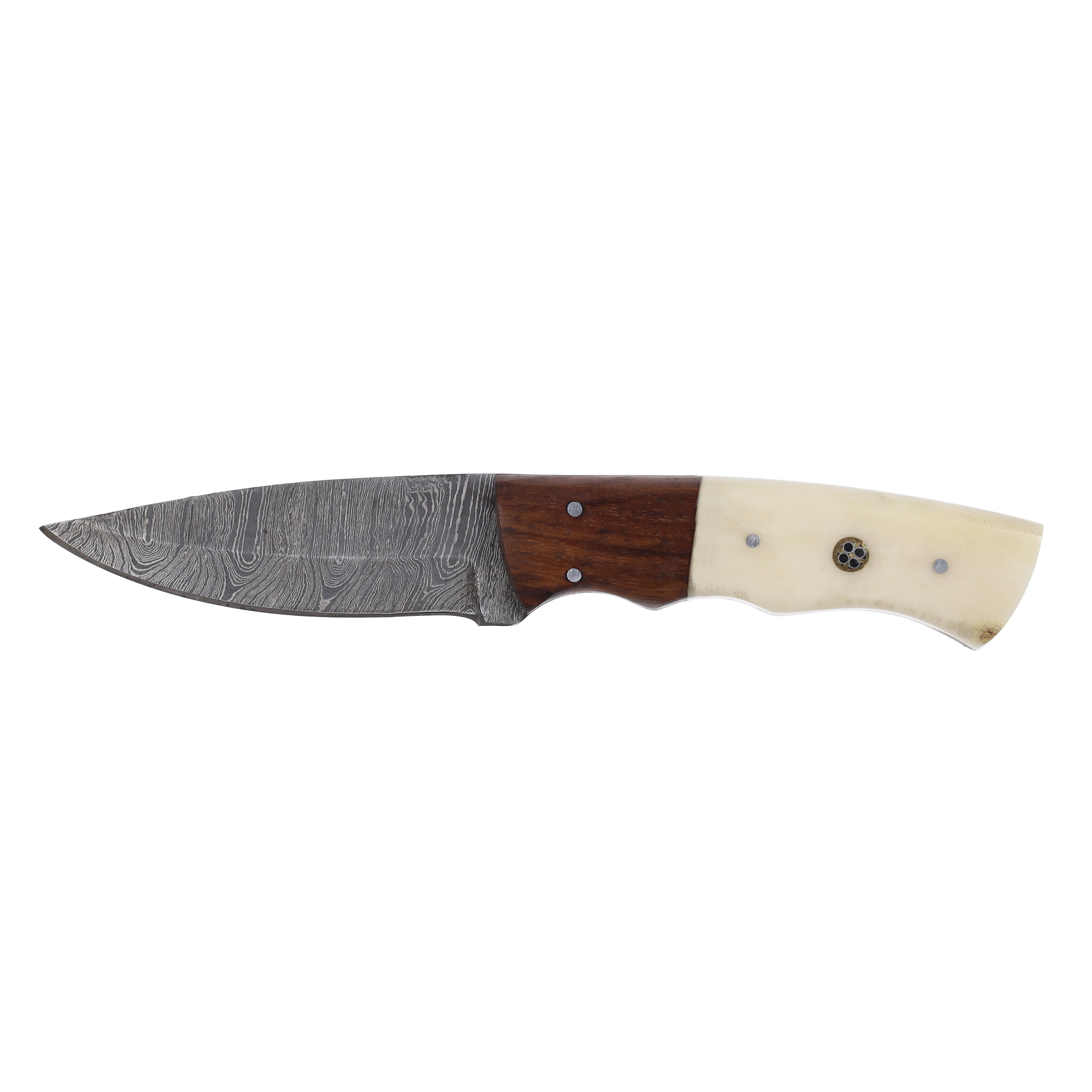 Lariat Plainsman - Hand-Forged Damascus Skinning Knife with Camel Bone & Brown Wood Handle