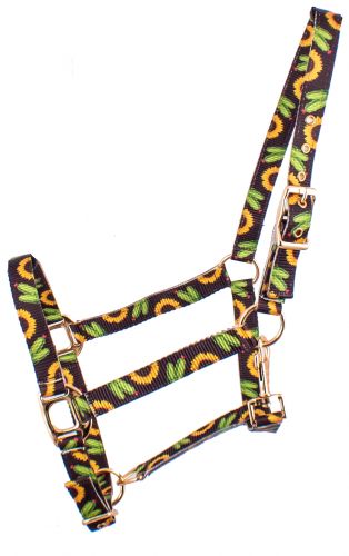 Showman Premium Nylon Horse Sized Halter with sunflower and cactus design